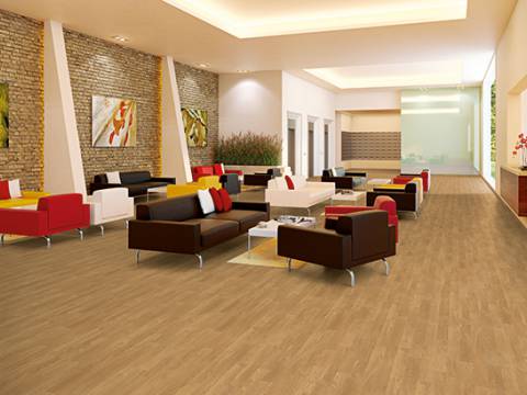 aranzacja dab ardeski